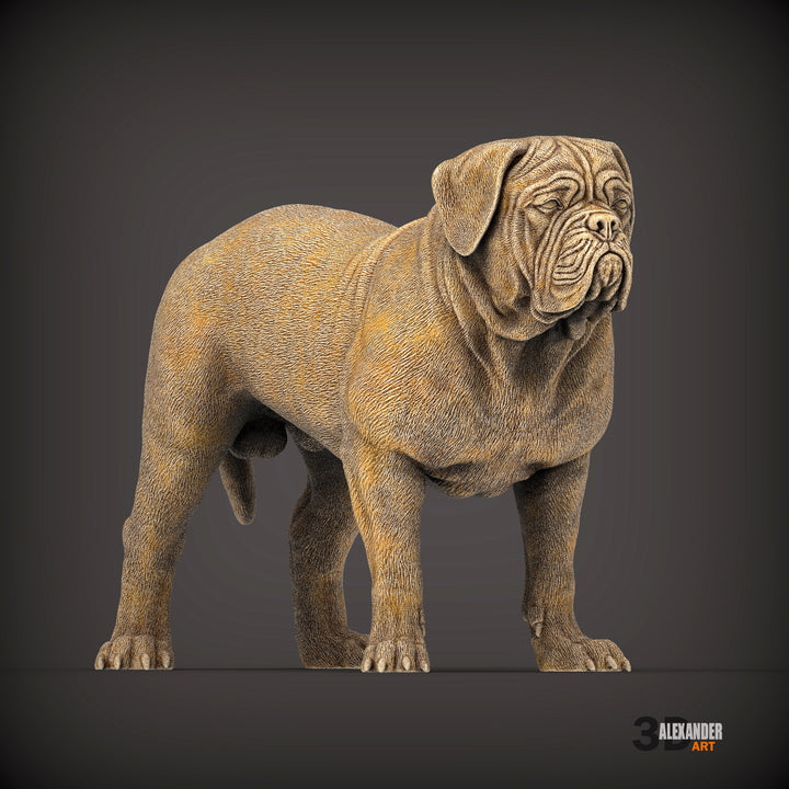 Dogues de Bordeaux