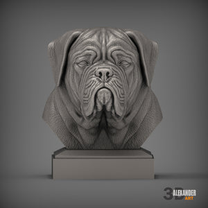 Dogue de Bordeaux Bust