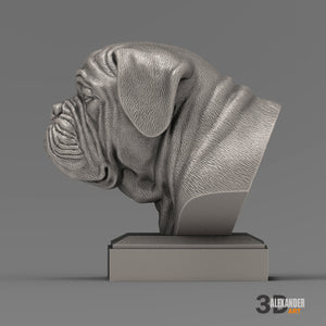 Dogue de Bordeaux Bust