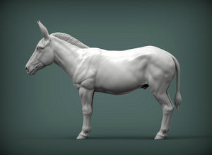 Donkey Sculpture (Standing)