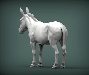 Donkey Sculpture (Standing)