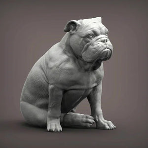 English Bulldog
