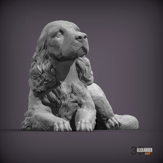 Cocker Spaniel