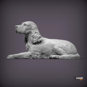 Cocker Spaniel