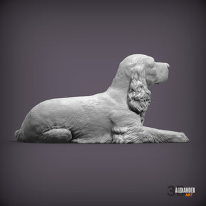 Cocker Spaniel