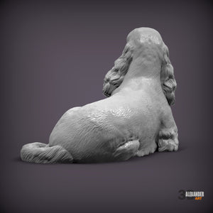 Cocker Spaniel