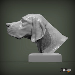 English Pointer Bust