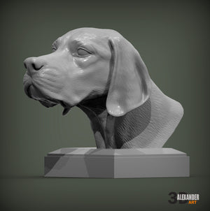 English Pointer Bust
