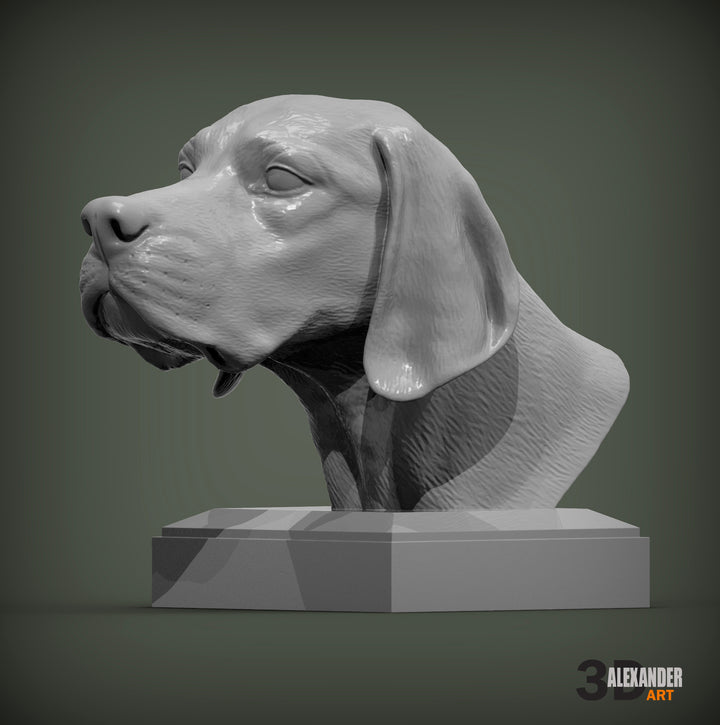 English Pointer Bust