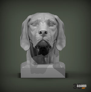 English Pointer Bust