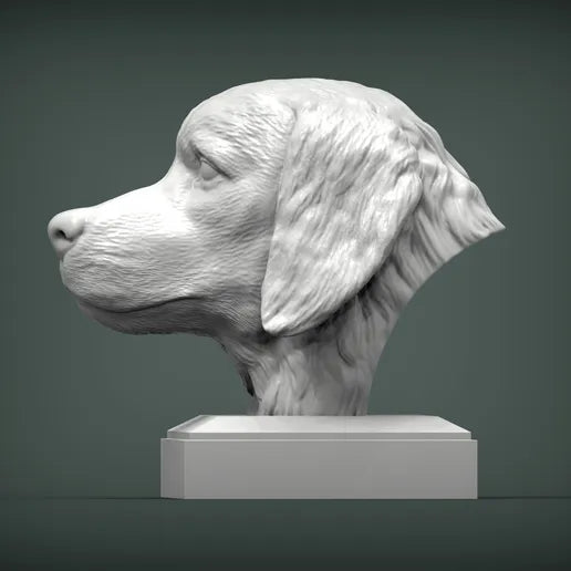 Golden Retriever Bust