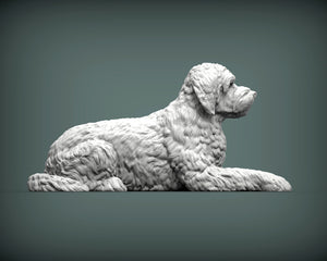 Goldendoodle Sculpture (Lying)