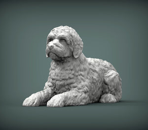 Goldendoodle Sculpture (Lying)