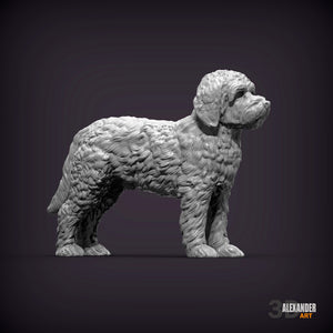 Goldendoodle Standing