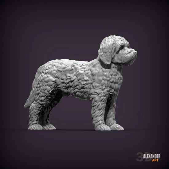 Goldendoodle Standing