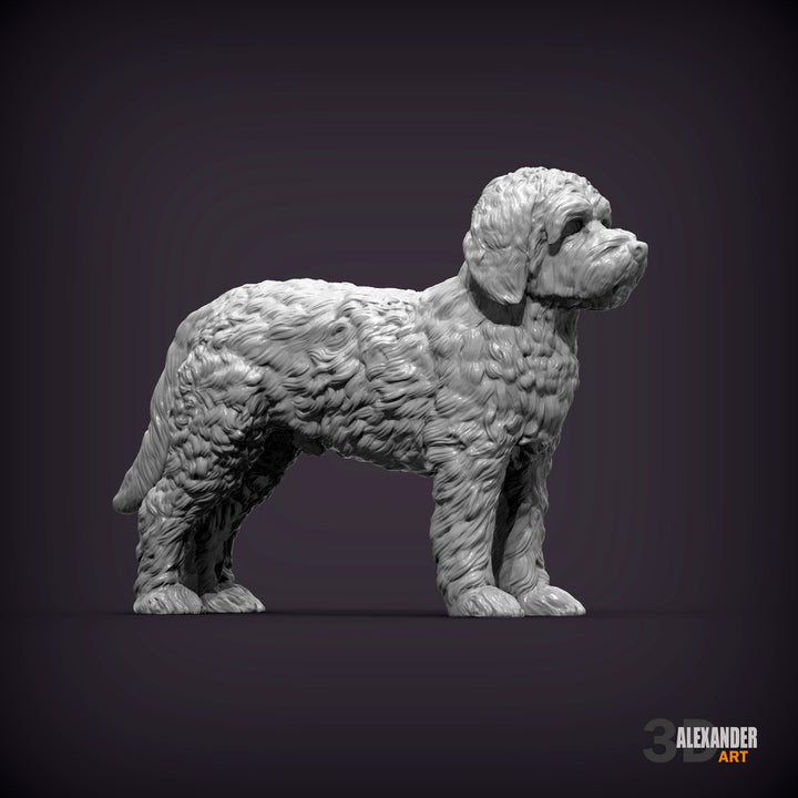 Goldendoodle Standing