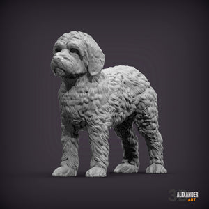 Goldendoodle Standing