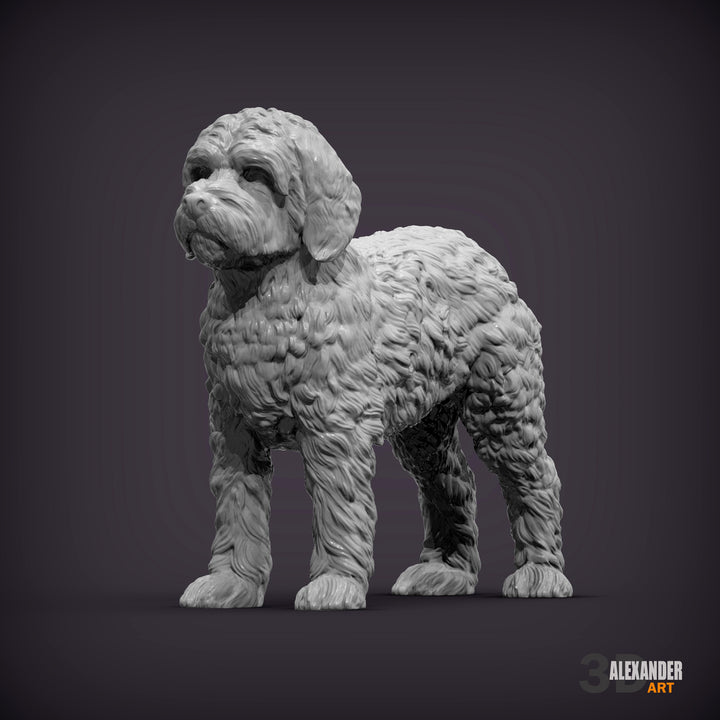 Goldendoodle Standing
