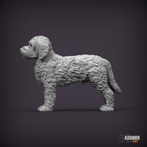 Goldendoodle Standing