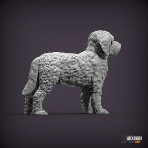 Goldendoodle Standing