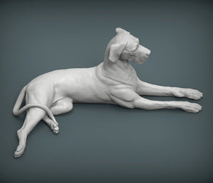 Great Dane Sculpture (Lying)