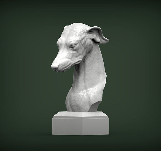 Greyhound Bust