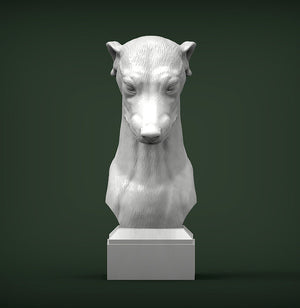 Greyhound Bust