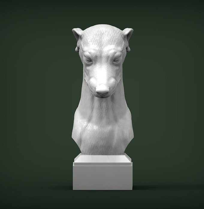 Greyhound Bust