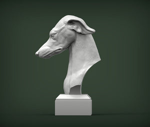 Greyhound Bust