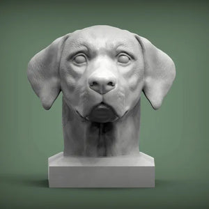 Labrador Retriever Bust