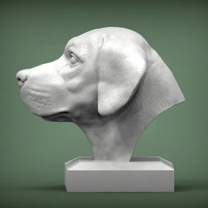 Labrador Retriever Bust