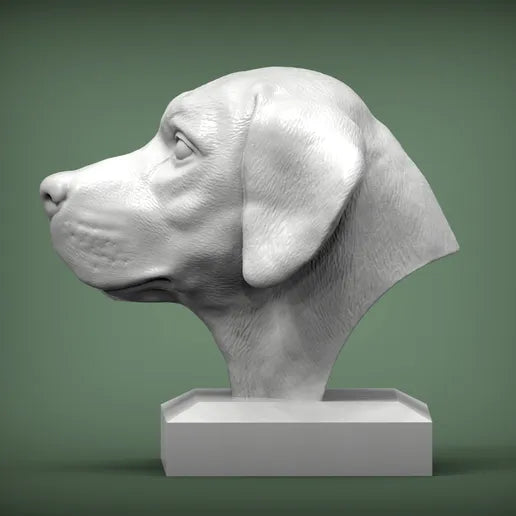 Labrador Retriever Bust