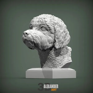 Lagotto Romagnolo Bust