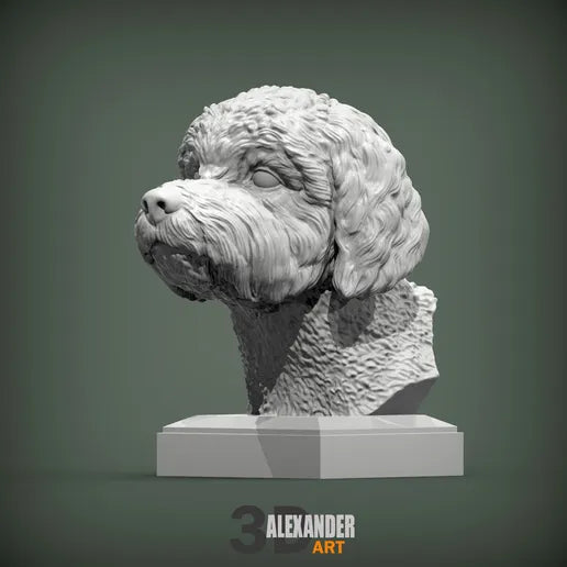 Lagotto Romagnolo Bust