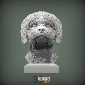 Lagotto Romagnolo Bust