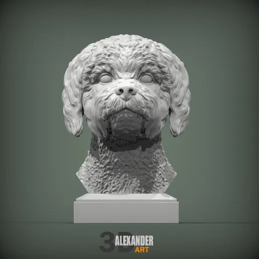 Lagotto Romagnolo Bust