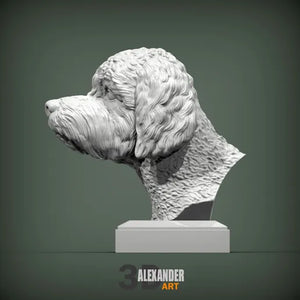 Lagotto Romagnolo Bust