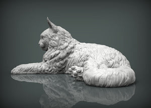 Maine Coon Cat Sculpture (Lying)