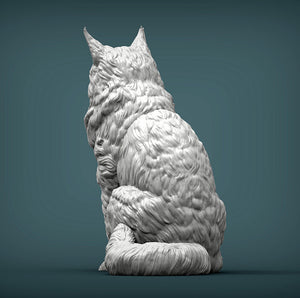 Maine Coon Cat Sculpture (Sitting)
