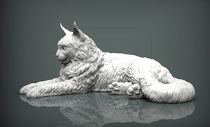 Maine Coon Cat Sculpture (Lying)
