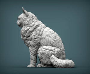 Maine Coon Cat Sculpture (Sitting)