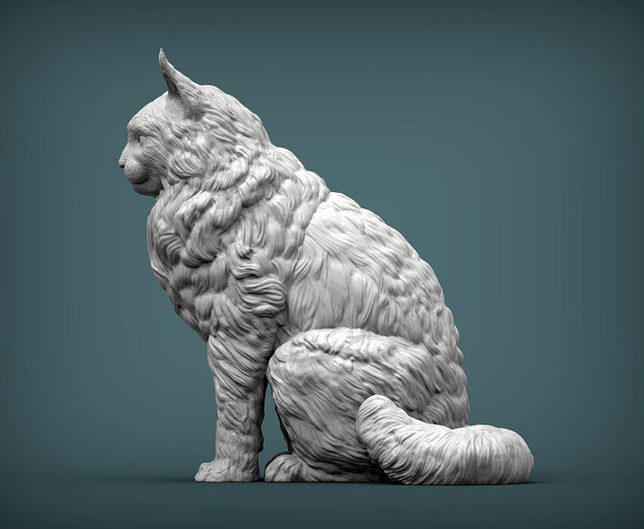 Maine Coon Cat Sculpture (Sitting)