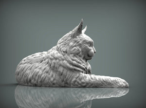 Maine Coon Cat Sculpture (Lying)