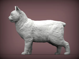 Manx Cat Sculpture