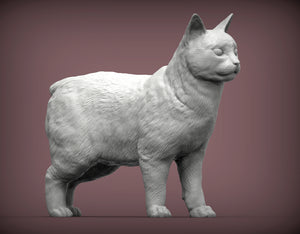 Manx Cat Sculpture