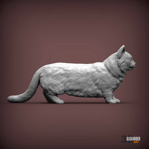 Munchkin Cat
