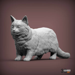 Munchkin Cat