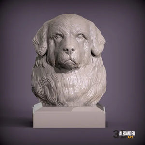 Newfoundland Dog Bust