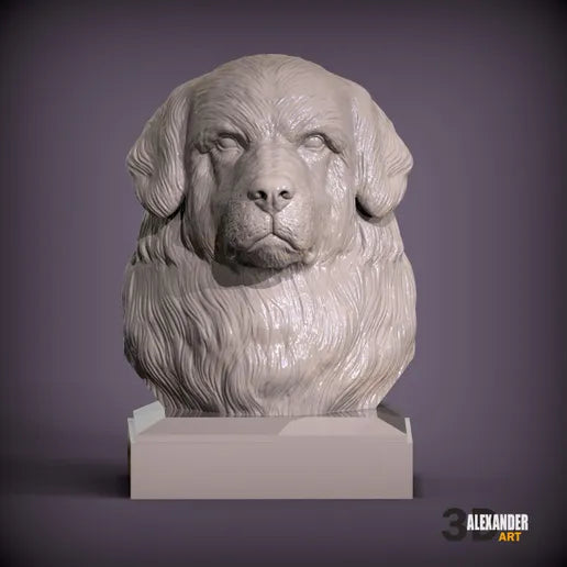 Newfoundland Dog Bust