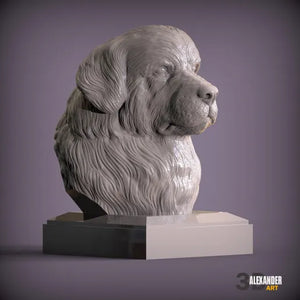 Newfoundland Dog Bust